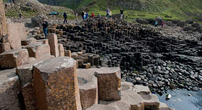 From Dublin : Giants Causeway, Dunluce Castle, Dark Hedges & Belfast
