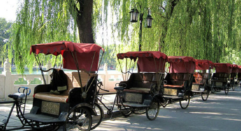 Beijing Zoo & Sehenswürdigkeiten Tagestour