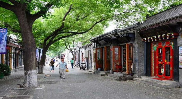 Beijing Zoo & Sehenswürdigkeiten Tagestour