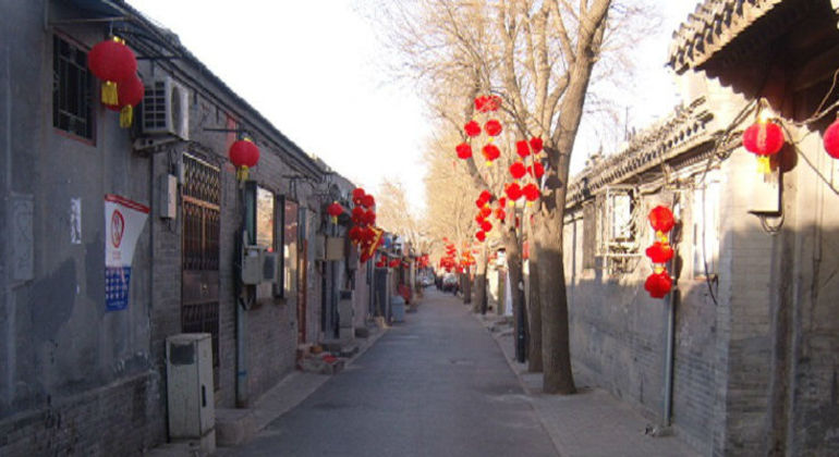 Beijing Zoo & Sehenswürdigkeiten Tagestour
