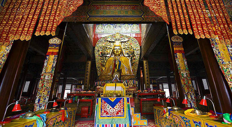 Beijing Zoo & Sehenswürdigkeiten Tagestour