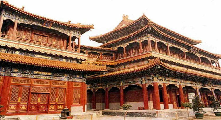 Beijing Zoo & Sehenswürdigkeiten Tagestour