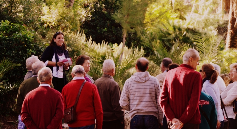 Private Tour of Italica Roman City