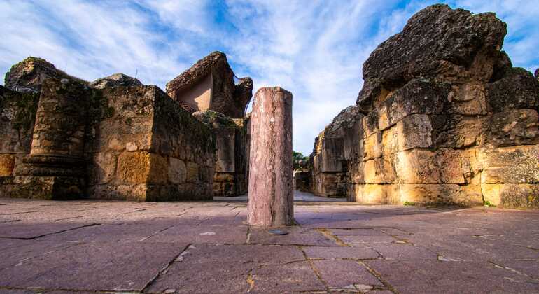 Private Tour of Italica Roman City