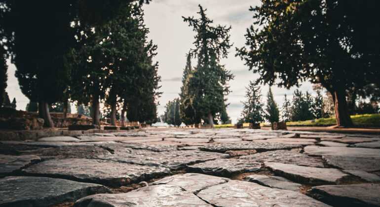 Private Tour of Italica Roman City