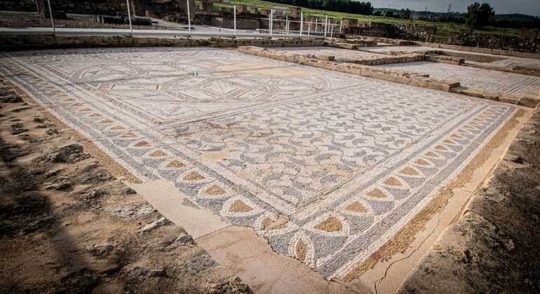 Private Tour of Italica Roman City