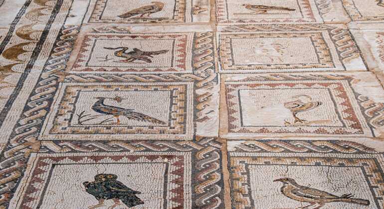 Private Tour of Italica Roman City