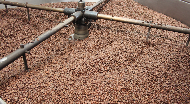 Coffee Tour in Fusagasugá from Bogotá