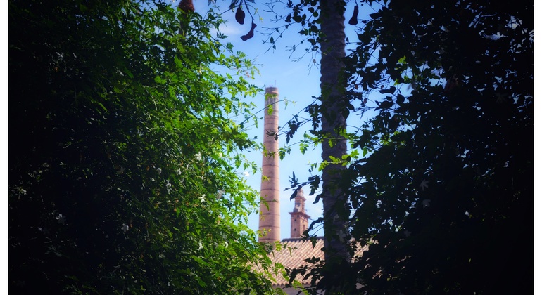 Private Visit to Cartuja Monastery
