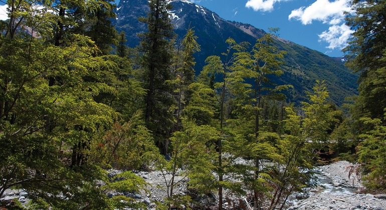 Tour privato a piedi di Bariloche