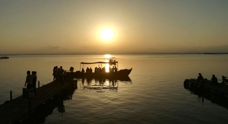 Excursion à l'Albufera de Valence