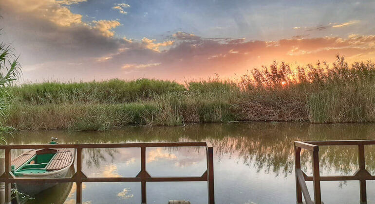 Excursion à l'Albufera de Valence