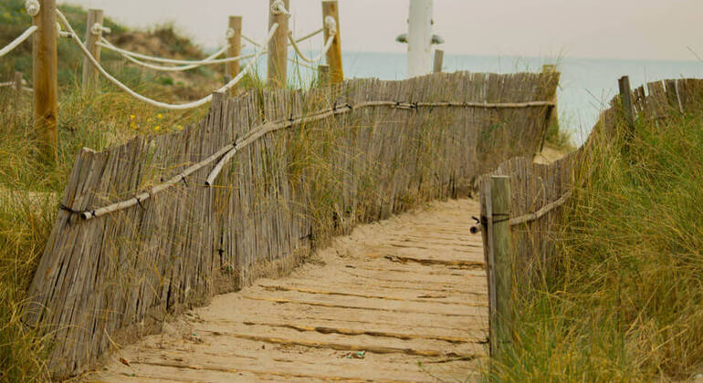 Excursion à l'Albufera de Valence