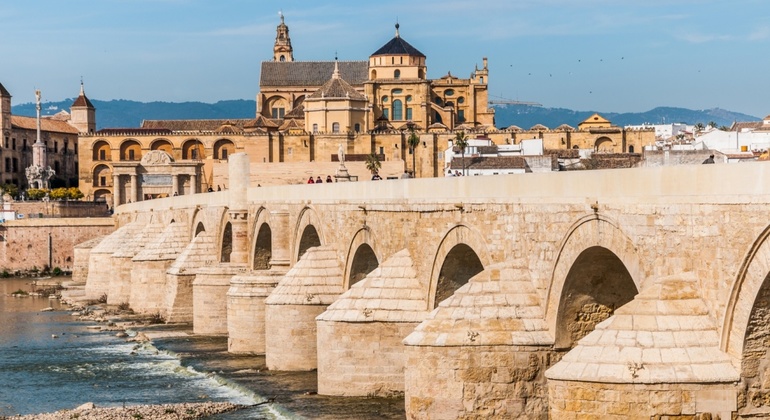 Tour Oficial de Córdoba: 4 Horas con Entradas