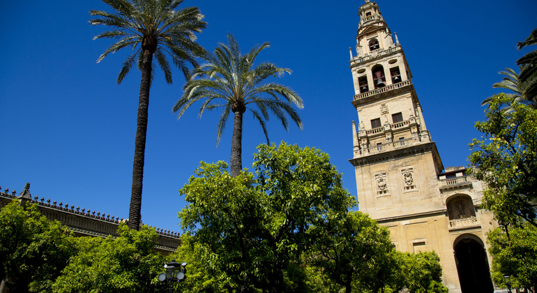 Tour Oficial de Córdoba: 4 Horas con Entradas