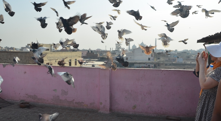 Old Delhi Food Heritage & Cultural mit Besuch des Masterji Kee Haveli