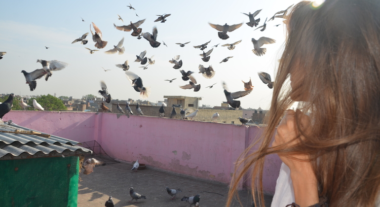 Old Delhi Food Heritage & Cultural mit Besuch des Masterji Kee Haveli