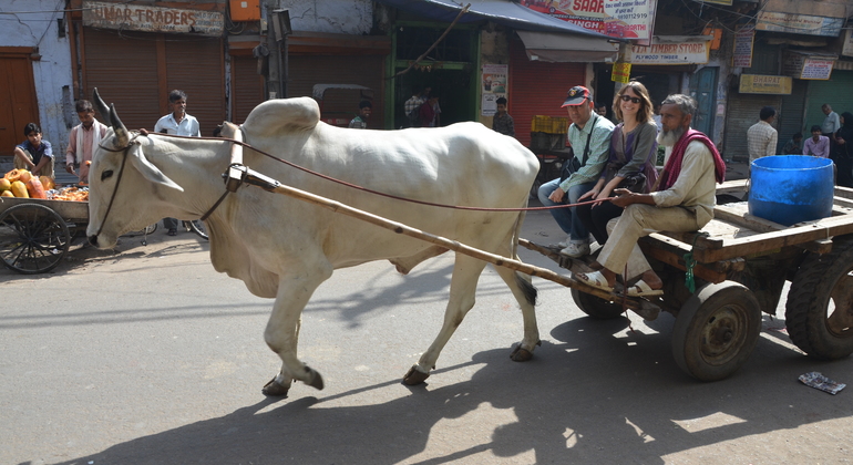 Old Delhi Food Heritage & Cultural mit Besuch des Masterji Kee Haveli