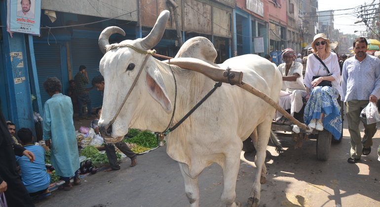 Old Delhi Food Heritage & Cultural mit Besuch des Masterji Kee Haveli