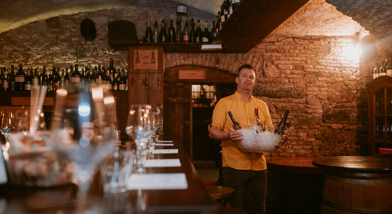 Wine Tasting Ljubljana