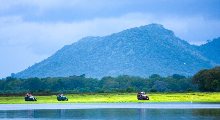 Safari por el Parque Nacional de Udawalawe desde Ahangama/ Weligama/ Mirissa