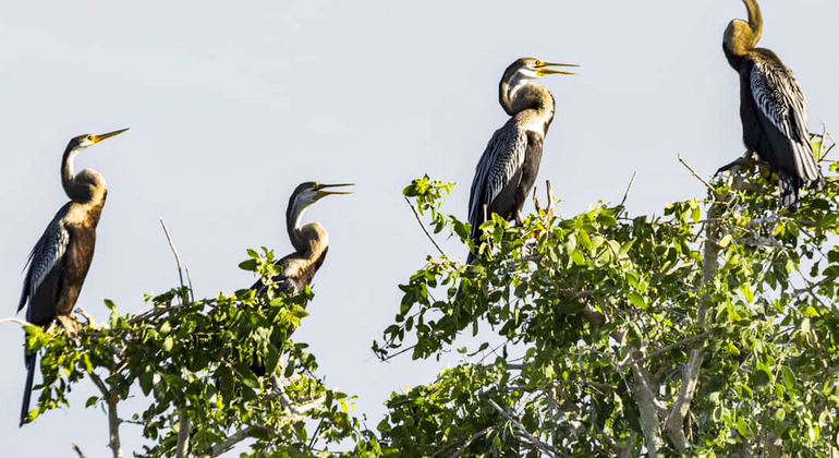 Yala National Park Safari von Hambantota Seehafen Tour