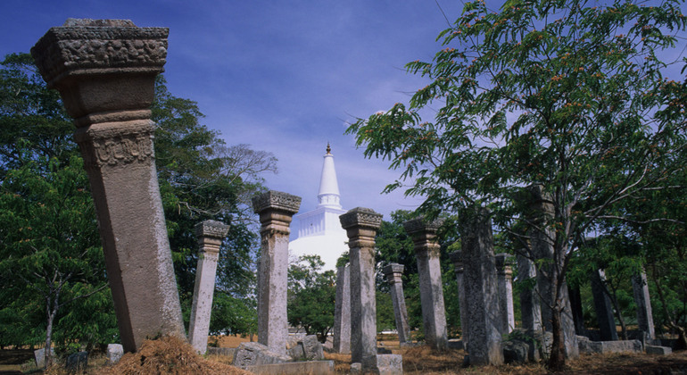 Tour en bicicleta por la ciudad antigua de Anuradhapura