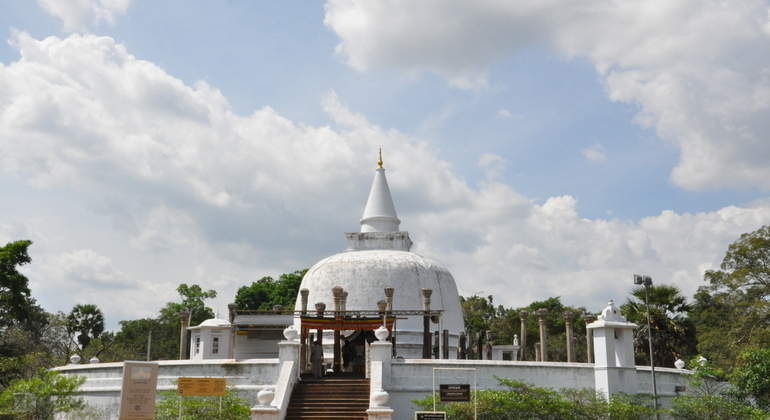 Tour en bicicleta por la ciudad antigua de Anuradhapura