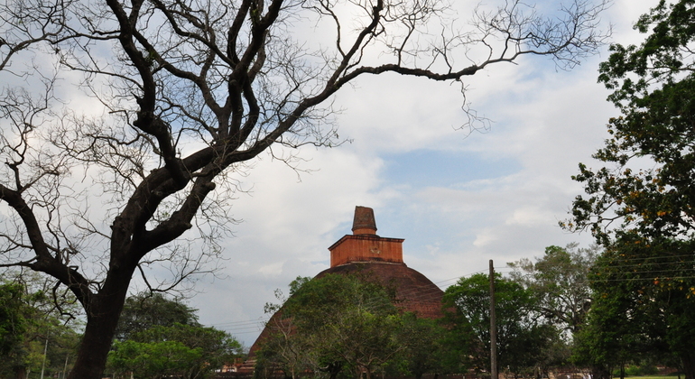 Tour en bicicleta por la ciudad antigua de Anuradhapura
