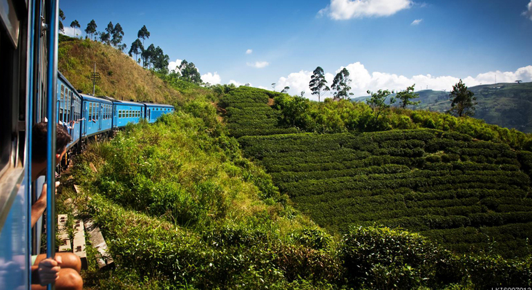 Nuwara Eliya desde Kandy en tren
