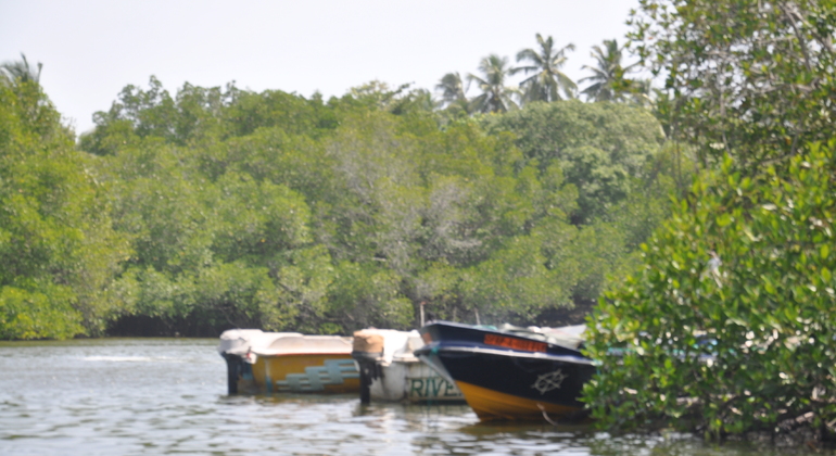 Madu Ganga Boot Safari