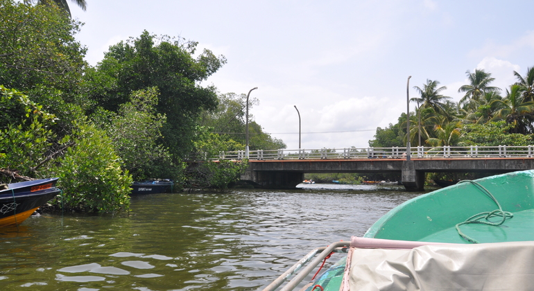 Madu Ganga Boot Safari