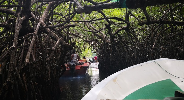 Madu Ganga Boot Safari