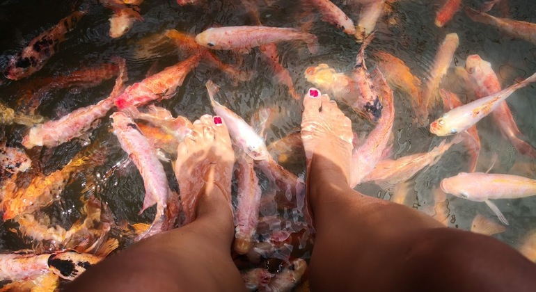 Madu Ganga Boot Safari