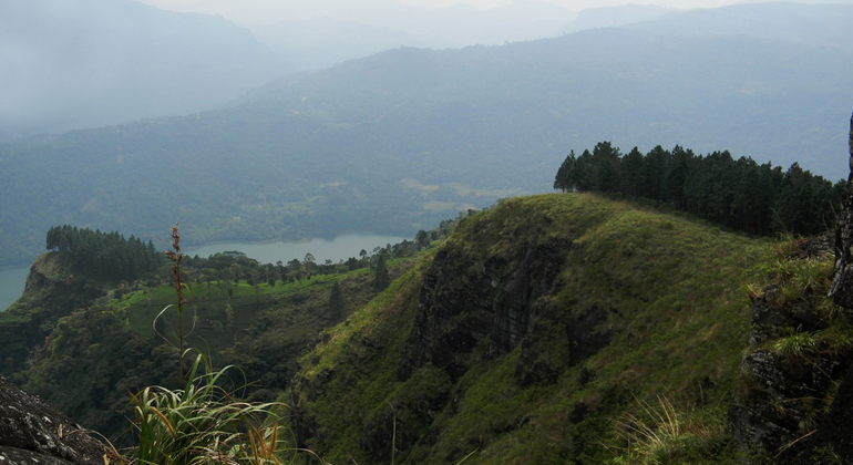 Trekking en Peacock Hill