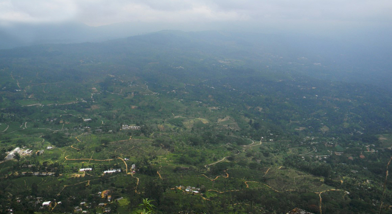 Trekking en Peacock Hill