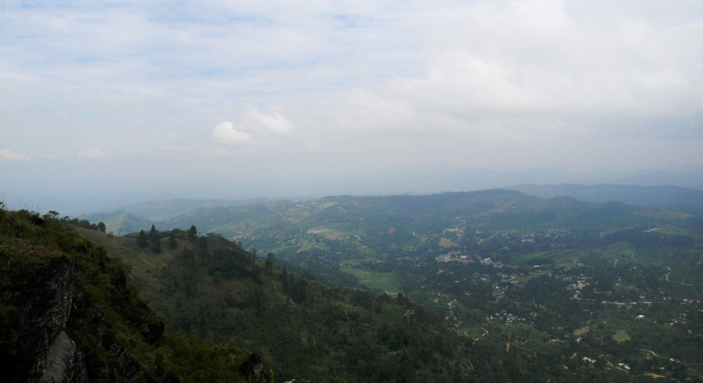 Trekking en Peacock Hill