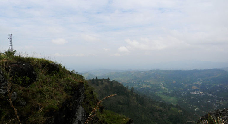 Trekking en Peacock Hill