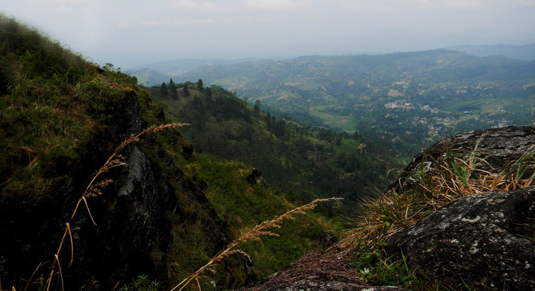 Trekking en Peacock Hill