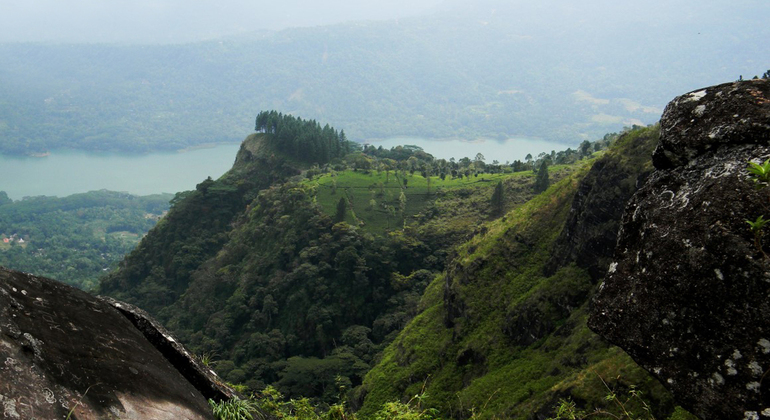 Trekking en Peacock Hill