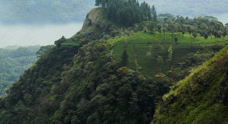 Trekking en Peacock Hill