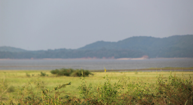 Hurulu Eco Park Private Safari