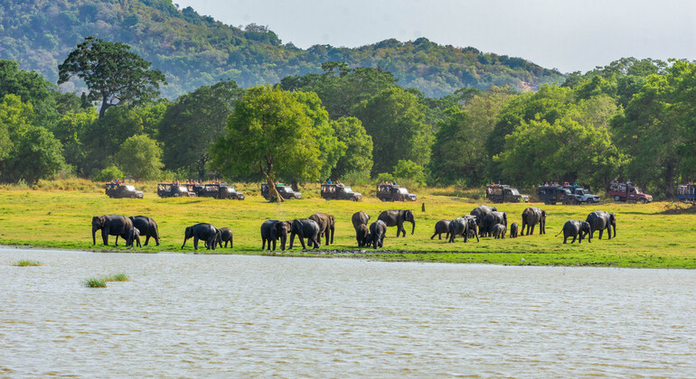 Hurulu Eco Park Private Safari