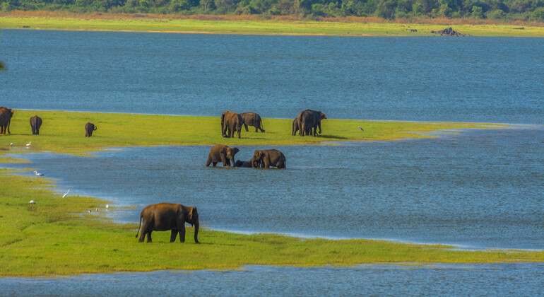 Hurulu Eco Park Private Safari