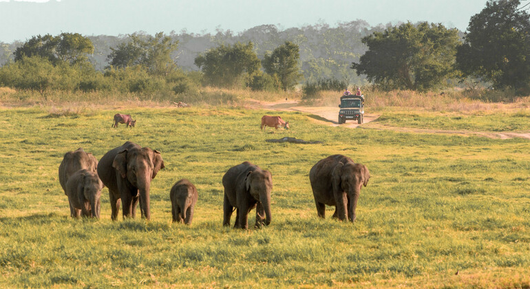 Hurulu Eco Park Private Safari