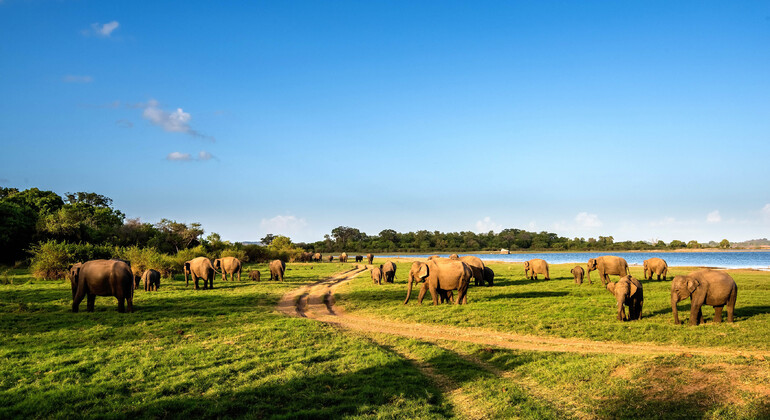 Hurulu Eco Park Private Safari