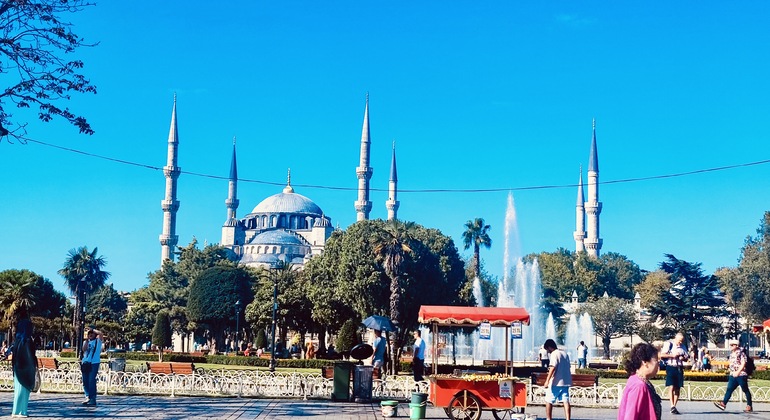 Best of Istanbul: Basilica Cistern, Blue Mosque, Grand Bazaar
