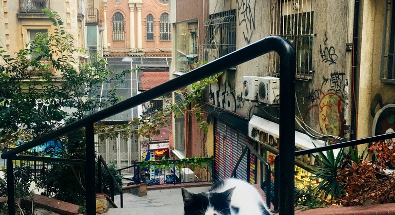 Istanbul Modern City Walking: Taksim To Galata With Secret Passages