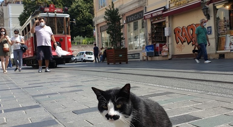 Istanbul Modern City Walking: Taksim To Galata With Secret Passages
