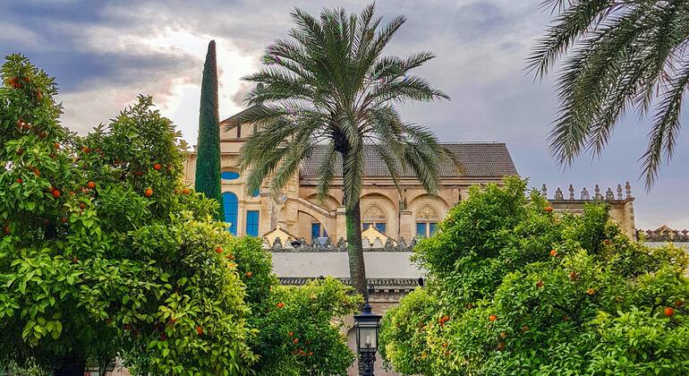 Mezquita-Catedral y Alcázar de Córdoba